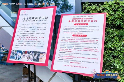 长期代理销售伯纳天纯 正品保障，天天优惠，接单即发